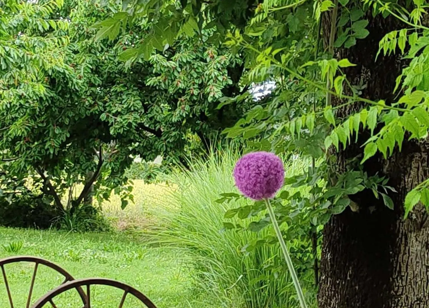 Ca Veja B&B Forli Bed & Breakfast